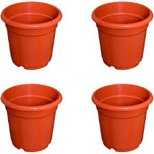 It is recommended to put the plant into a plastic pot with a saucer before. Buy Flower Pots 8 Inch Set Of 4 Plant Container External Height 20 Cm Online Get 29 Off
