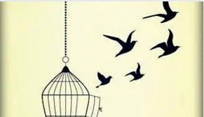 Image result for bird set free