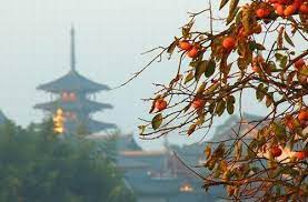 仏像紹介bot on twitter 法隆寺 風景 お寺