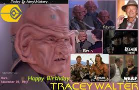 Celebrating a Legend: Dennis 'Danger' Madalone's Star Trek Stunt Career