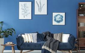 Choosing house paint color combinations. 10 Paint Colors That Go Well With Shades Of Blue For Home Space Nippon Paint India