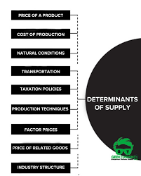 What Is Supply Types Determinants Example Economics In 2020 Economics Mathematical Expression Managerial Economics