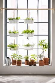 Semaforos Bittergurka Blanco Ikea Alemania Apartment Plants Herbs Indoors Window Plants