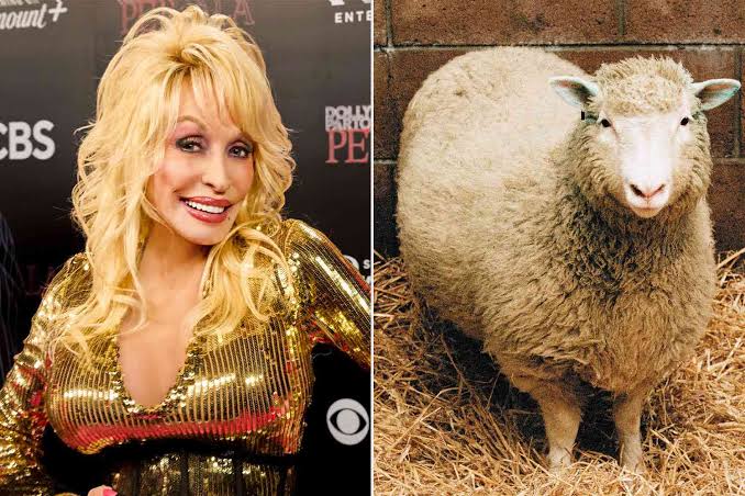 Dolly Parton Was 'Flattered' to Learn Dolly the Sheep Was Named After Her Breasts