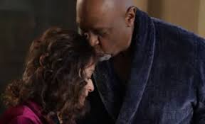 Cu spoilere, deci nu citiți dacă nu ați văzut. Grey S Anatomy Season 17 Tv Fanatic