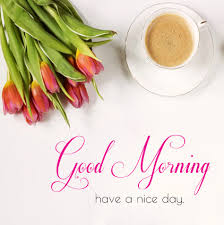 Maybe you would like to learn more about one of these? Good Morning Whatsapp Images For Dp Status Msg Top Hd à¤¸ à¤ª à¤°à¤­ à¤¤ à¤« à¤Ÿ à¤œ