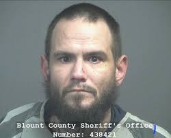 MAPLES, TRAVIS RYAN Charges: IDENTITY THEFT This information and more is  available https://apps.myocv.com/share/a95737804