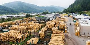 Information for research of yearly salaries, wage level, bonus and compensation data comparison. Lumber Prices Are On Pace To Plunge 45 In June After A Record Breaking Rally Driven By Homebuilding Demand
