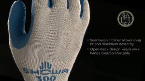 Image result for Atlas 300