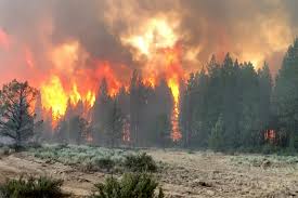 Istanbul yangın haberi sayfasında en son yaşanan istanbul yangın gelişmeleri ile birlikte geçmişten bugüne cnn türk'e eklenen istanbul yangın haber başlıkları yer almaktadır. Bootleg Fire Scorches Oregon As Heat Wave Continues In The West The New York Times