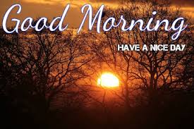 We did not find results for: Latest Good Morning Images Download Photos Image