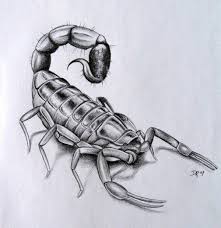 Scorpion Pattern For Wood Burning Scorpion Tattoo Scorpion 3d Tattoo
