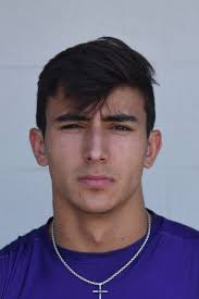 BULLDOGS AT A GLANCE