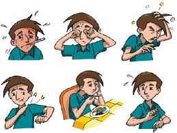 Image result for dengue symptoms picture