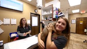 We welcome both emergency treatment cases as well as pet patients in need of routine medical, surgical. Houston Animal Emergency Clinic North East An Emergency Resource For Pet Owners In Humble Tx