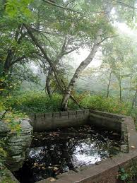 Timber rattlesnakes are common in this area of the trail. Pin By Turn Key Real Estate On Architecture Abandoned Places Abandoned Pool Abandoned Houses