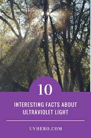 10 Interesting Facts About Uv Light Uv Hero Uv Light Visible Light 10 Interesting Facts