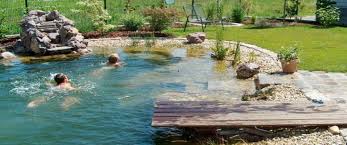Google Ergebnis Fur Https Cdn Heimwerker De Img Sites 3 Schwimmteich Intro 1 Jpg Jpg In 2020 Badeteich Naturschwimmbecken Schwimmteich