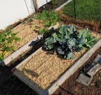 Outdoor Hydroponic Raised Bed Conversion : r/Hydroponics