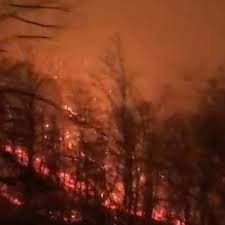Instead of wandering unfamiliar streets, bring your family to ripley's aquarium in downtown gatlinburg for an afternoon of halloween fun! Three Weeks Since Fires Tore Through Gatlinburg Officials Urge Visitors To Return Wlos