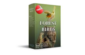 Browse, download and share sounds. Free Forest Bird Sounds Effects Download Acoustic Nature