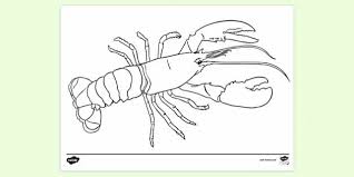Select from 32084 printable crafts of cartoons, nature, animals, bible and many more. Free Resource Lobster Colouring Page