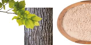 Jede lutschtablette now® holunderbeere & zink enthält holunderbeerenkonzentrat, das mit zink und vitamin c formuliert ist. Slippery Elm Bark Ulmenrinde Lilly S Bar