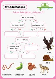 What animal am i game. Animal Adaptations Who Am I Smart Frog