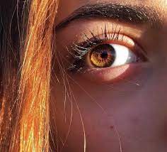 kristhekiid aesthetic eyes brown eyes aesthetic beautiful eyes color