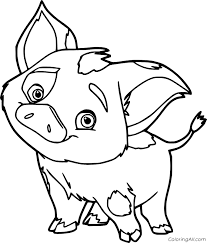 Disney princess coloring pages moana. Cute Pua From Moana Coloring Page Coloringall