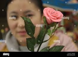 Floristen hi-res stock photography and images