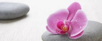 Allow our professional therapists to tailor and deliver your experience through a holistic sensory journey enriching the body and mind. Amsterdam Wellness Hotels Luxus Spa Hotel Residence Inn Amsterdam Houthavens