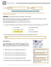 After the mice breed, the Mousegenetics2se Pdf Name Jeremiah Gilbert Date Student Exploration Mouse Genetics Two Traits Directions Follow The Instructions To Go Through The Course Hero
