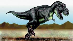 The rex system is the term used to designate the system of certification of origin as a whole, and not only the underlying it system which is used for the registration of exporters. Billions Of T Rex Existed On Earth Scientists Reveal News Dw 16 04 2021