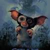 (bonus points to howie mandel for coming up with gizmo's cute kid voice, as well.) but unless your kids are relatively horror savvy, the second half of gremlins is a red flag that needs to be flown. Https Encrypted Tbn0 Gstatic Com Images Q Tbn And9gcqtw3wpfvntanntthebnux3gpzp1 Esik6g94qhff Tmfw0okda Usqp Cau