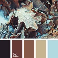 Orange's (and therefore, brown's) neighbor colors, red and yellow, are complementary to dark green and purple, respectively. Color Palette 2508 Color Palette Color Balance Palette