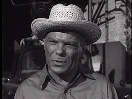 The Crowded Sky (1960)