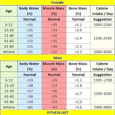 Punctual Ideal Body Muscle Percentage Chart Body Fat And