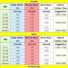 Punctual Ideal Body Muscle Percentage Chart Body Fat And