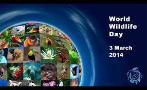 Un world wildlife day was established in 2013, with the first event taking place in 2015. The Oie Celebrates The World Wildlife Day Oie World Organisation For Animal Health