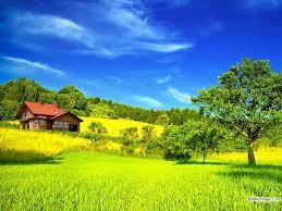 We did not find results for: 49 Most Beautiful Relaxing Wallpapers On Wallpapersafari