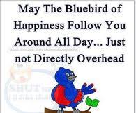 Bluebird Pictures Photos Images And Pics For Facebook Tumblr Pinterest And Twitter