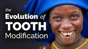 Search Results <span style="" >John Willman</span>