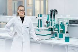 Image result for Indigofera garckeana