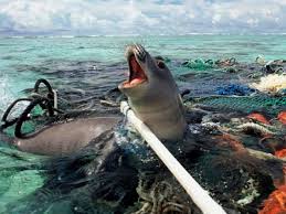 Five To 12 Million Tonnes Of Plastic Are Going Into The Ocean Each Year Ocean Pollution Save Our Oceans Pollution