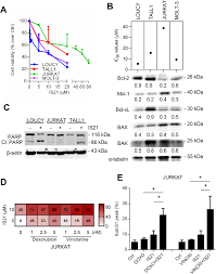 Image result for BCL2 Inhibitor