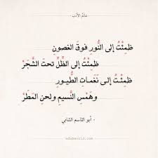 شعر الشابي ظمئت إلى النبع بين المروج عالم الأدب Quran Quotes Inspirational Islamic Quotes Quote Aesthetic