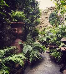 Check spelling or type a new query. Ask The Expert Design Tips For A Shady Courtyard Garden Gardenista