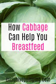 How To Use Cabbage Leaves For Engorgement Mastitis And Weaning