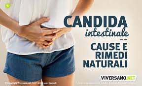 Alimenti quali pane e pizza possono, infatti, agevolare la proliferazione della candida. Candida Intestinale Sintomi Diagnosi E Cure Naturali